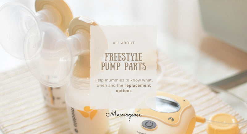Know your Freestyle Pump Parts and replacements